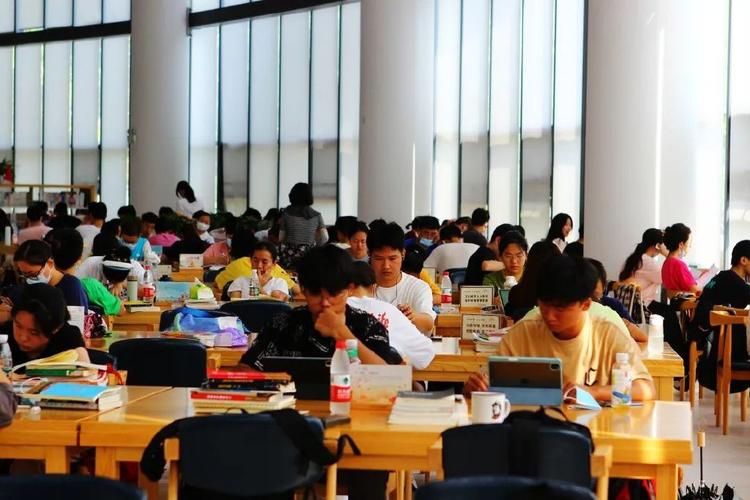 医生评职称出书：高级职称晋升与临床医学专著署名出版指南