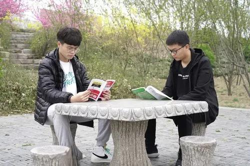 畜牧兽医师职称晋升全攻略：专利申请办理、论文发表投稿与著作出版出书一站式指南