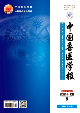 b41a5ab8fe4a8c41e7f00c87c350f758_ZSYX.jpg
